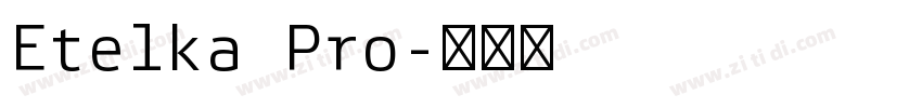 Etelka Pro字体转换